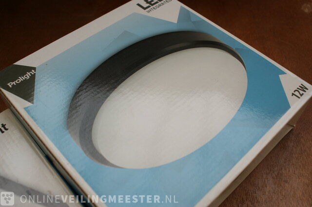 2x plafondlamp Prolight » Onlineveilingmeester.nl