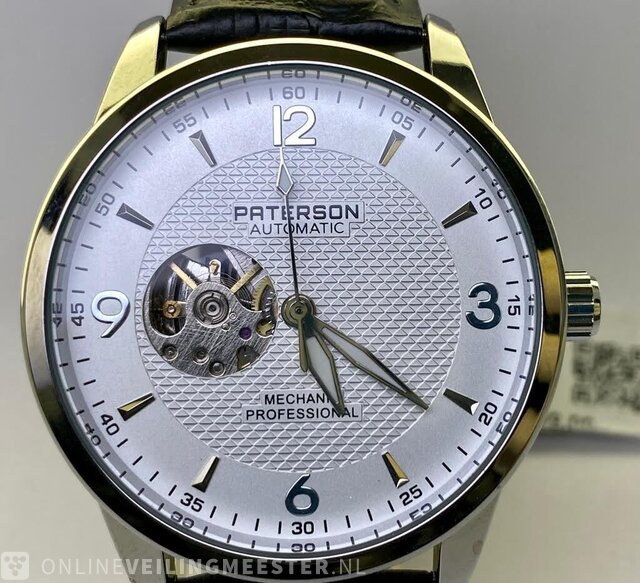 Watch Paterson Skyline Automatic Mechanic Professional Onlineauctionmaster